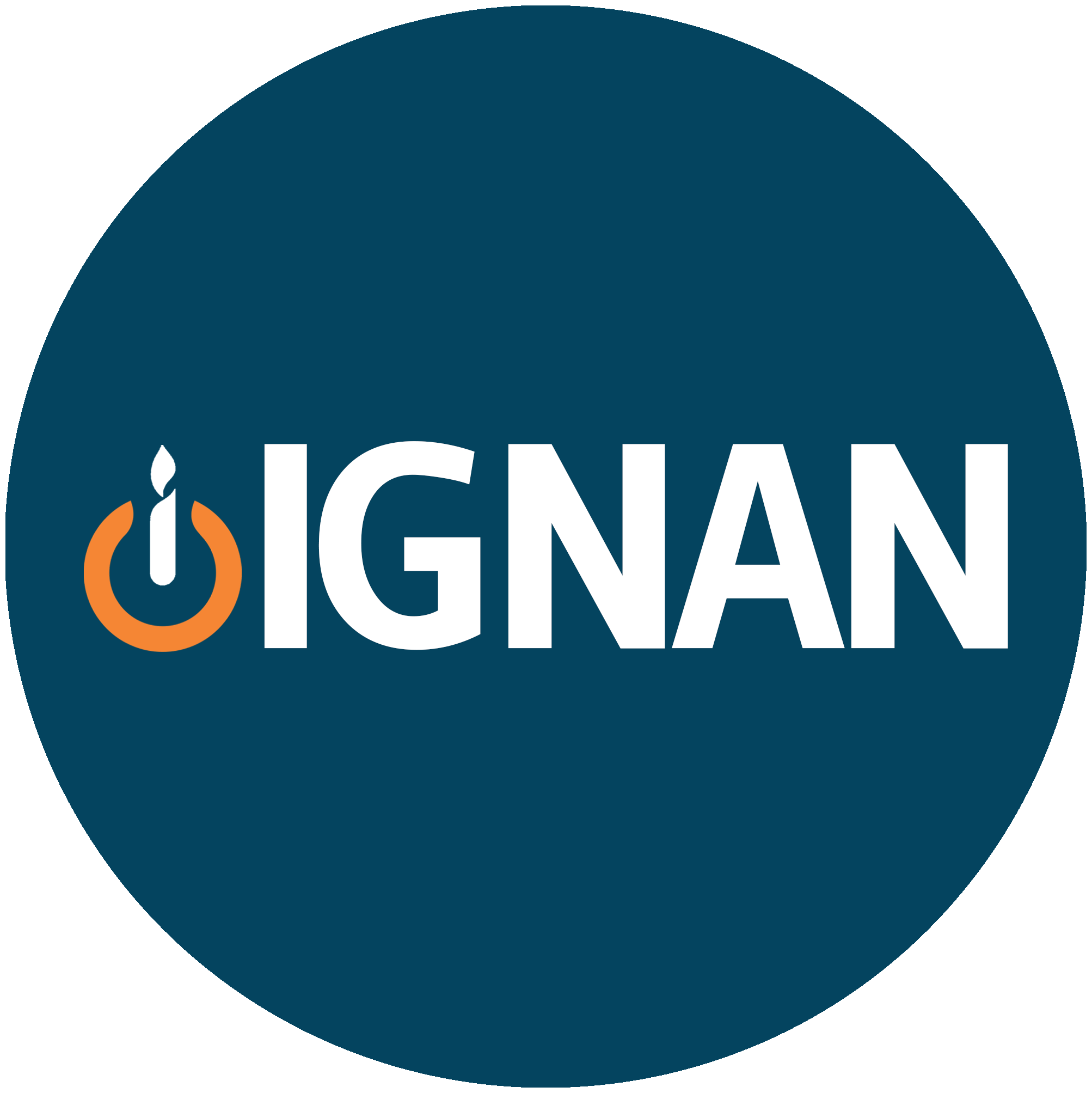 Circle avatar IGNAN Audio